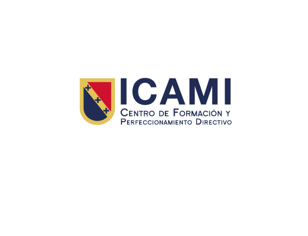 ICAMI Leadership Development